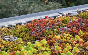 the cost of Walton Pool green roof installation